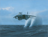 Naval Aviation